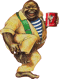 dosettes Lucaffe