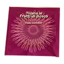 Tisane aux fruits des bois