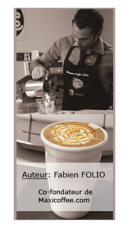  auteur : fabien folio 