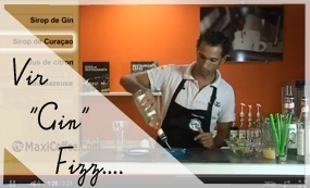 Gin Fizz / Vir 