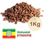 Caf� en grains   Ethiopie Terroir Gidaamii - 1 kg - L. Lugat