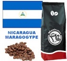 Caf� en grains Nicaragua Maragogype - 1 kg
