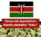 1 kg Caf� vert Kenya AA Appellation Kiambu plantation Ruiru