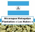 1 kg Caf� vert Nicaragua Appellation Matagalpa plantation Las Nubes