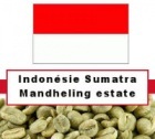 1 kg Caf� vert Sumatra Mandheling TMJ Estate