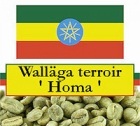 1 kg Caf� vert Moka sauvage - r�gion de Wall�ga - terroir Homa