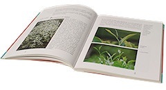 livre univers du th�
