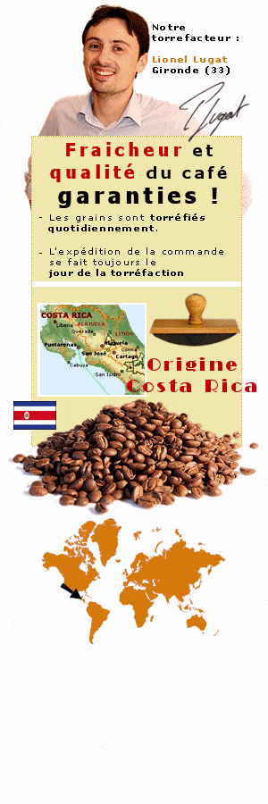 Caf� en grains Caracoli du Costa Rica