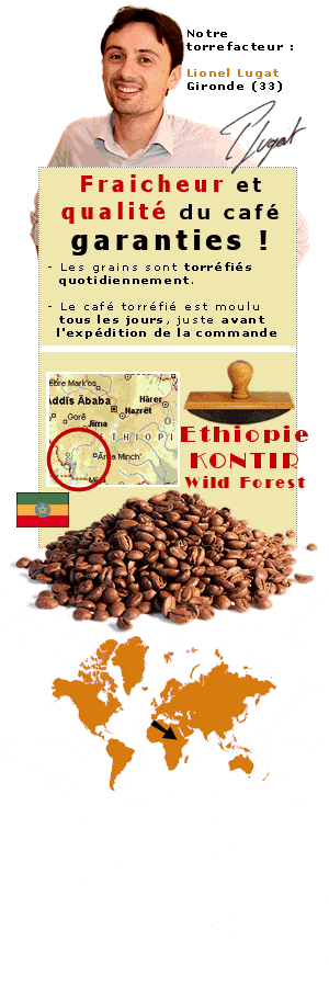Caf� en grains Kontir Wild Forest