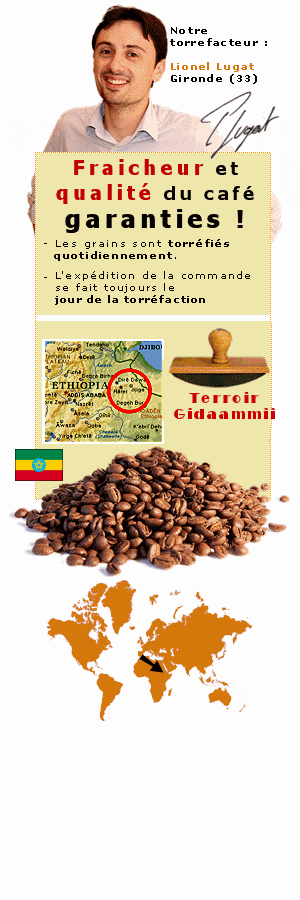 Torrefacteur - caf� en grains  du Moka Harrar Ethiopie