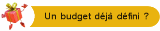 Quel budget pour votre cadeau ?