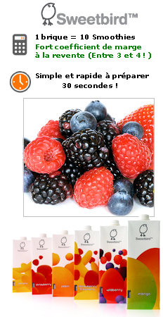 smoothie fruits rouges pour coffee shop