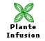 Plante & Infusion