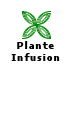 Plante Infusion