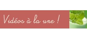 Nouvelles vid�os � d�couvrir