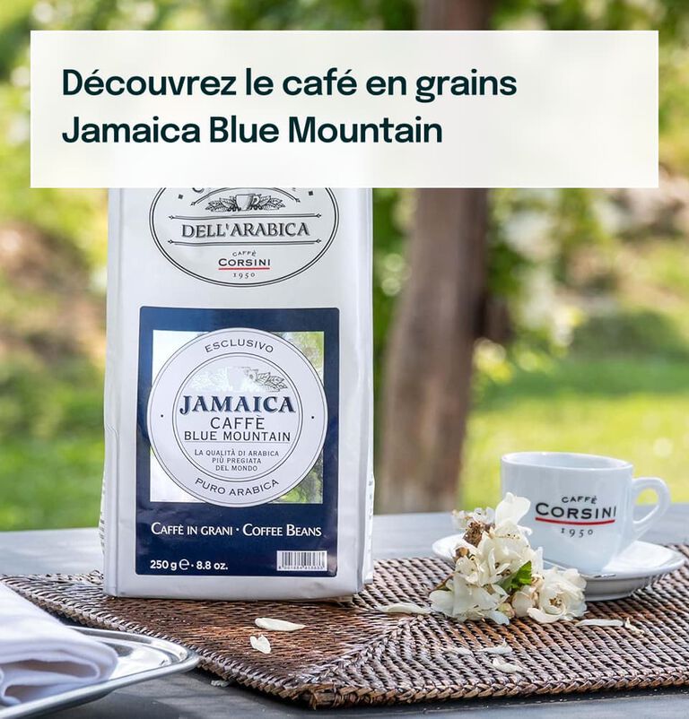 cafe en grains Jamaica Blue Mountain