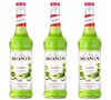 Lot de 3 Sirops Concombre - Monin 3 x 70cl image number 0