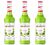Lot de 3 Sirops Concombre - Monin 3 x 70cl image