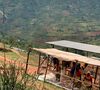 Caff&egrave; Mokxa - Caff&egrave; in grani - Rwanda Taba Bio - 250gr image number 1
