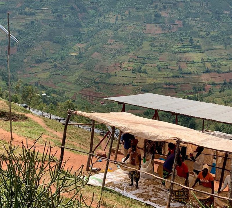 Caff&egrave; Mokxa - Caff&egrave; in grani - Rwanda Taba Bio - 250gr image number 1