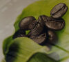 lly Iperespresso MonoArabica Ethiopia x 18 coffee capsules image number 1