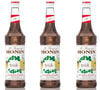 Lot de 3 Sirops Monin - Irish - 3 x 70cl image number 0
