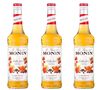 Lot de 3 Sirops - &Eacute;rable et &Eacute;pices - 70cl - MONIN image number 0
