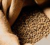 Green Coffee Beans - Minas Gerais Region Brazil - Natural - 2 x 500g image number 1