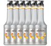 6 x 1 L Pur&eacute;e de Fruit de Monin - Mangue image number 0