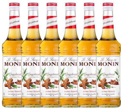 Sirop + Pompe doseuse - Pain d'&eacute;pices - Lot 6 x 70 cl MONIN