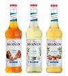 3 Sirops Sans Sucre de 70cl - Vanille Caramel Noisette - MONIN image number 0