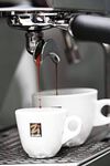 Zicaff&egrave; - Caff&egrave; in grani - - Black of Italy 10 kg image number 1