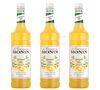 Lot de 3 Concentr&eacute;s Limonade Mix - 3 x 1 L - MONIN image number 0