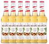 Sirop Noisette + pompe doseuse - 6 x 70cl MONIN image number 0