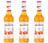 Lot de 3 Sirops Monin - Abricot - 3 x 70cl image number 0