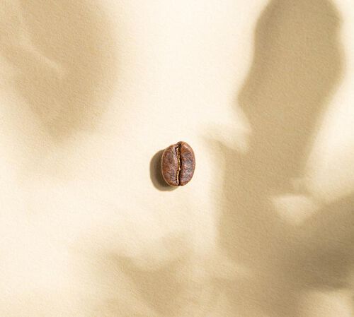 2 x 250 g - Caf&eacute; en grain - Le M&eacute;lange Inca Bio - GREEN LION COFFEE image number 2