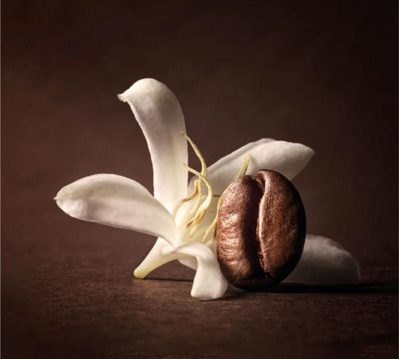 4 x 250 g - Caf&eacute; en grain - Arabica S&eacute;lection Colombie - ILLY image number 2