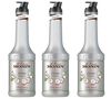 Lot de 3 Smoothies Fruit de Monin - Coco - 3 x 1L image number 0