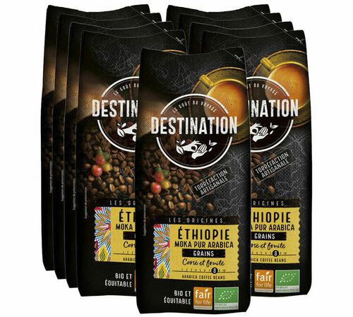 9 kg Caf&eacute; en grain Moka Ethiopie 100% Arabica Bio - DESTINATION