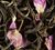 Dammann Fr&egrave;res- T&egrave; bianco Passion de Fleurs 100 g image
