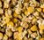 Tisane Camomille - Vrac 100 g -  DAMMANN FR&Egrave;RES image