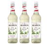Sirop saveur Mojito Mint (sans alcool) - Bouteille plastique 3 X 1 L - MONIN image number 0