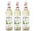 Sirop saveur Mojito Mint (sans alcool) - Bouteille plastique 3 X 1 L - MONIN image