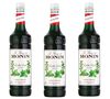 Sirop Menthe - Bouteille plastique - Monin 3x1L image number 0
