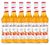 6 x Sirop Monin - Abricot - 70 cl image