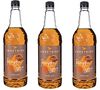Sweetbird - Sciroppo Pumpkin Spice 3 x 1 l image number 0