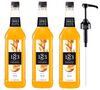 Sirop 1883 Routin P&ecirc;che - Bouteille plastique - 3 x 1L + Pompe doseuse 1883 ROUTIN image number 0
