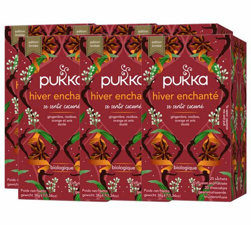 Infusion Hiver Enchant&eacute; Bio -  6 x 20 sachets - PUKKA