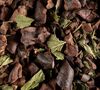 Infusion Cacao Menthe - Vrac 100 g - DAMMANN FR&Egrave;RES image number 0
