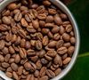 Green Lion Coffee Inca Blend Coffee Beans - 250g image number 5